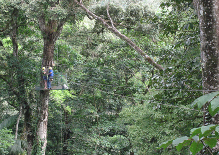 Sarapiqui Canopy